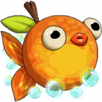 Orange_Fish Portrait