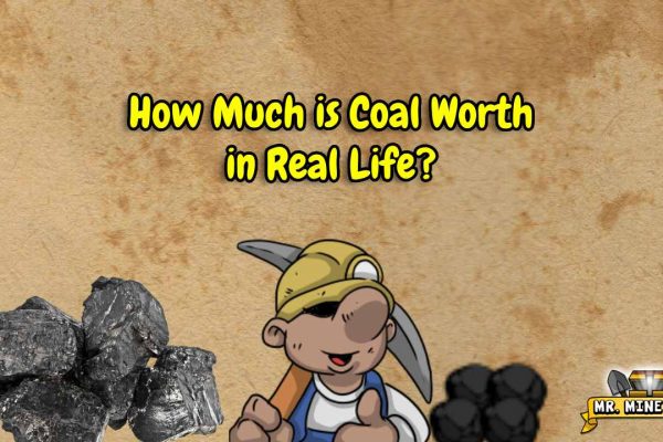 Mr. Mine’s First Mineral How Much is Coal Worth in Real Life